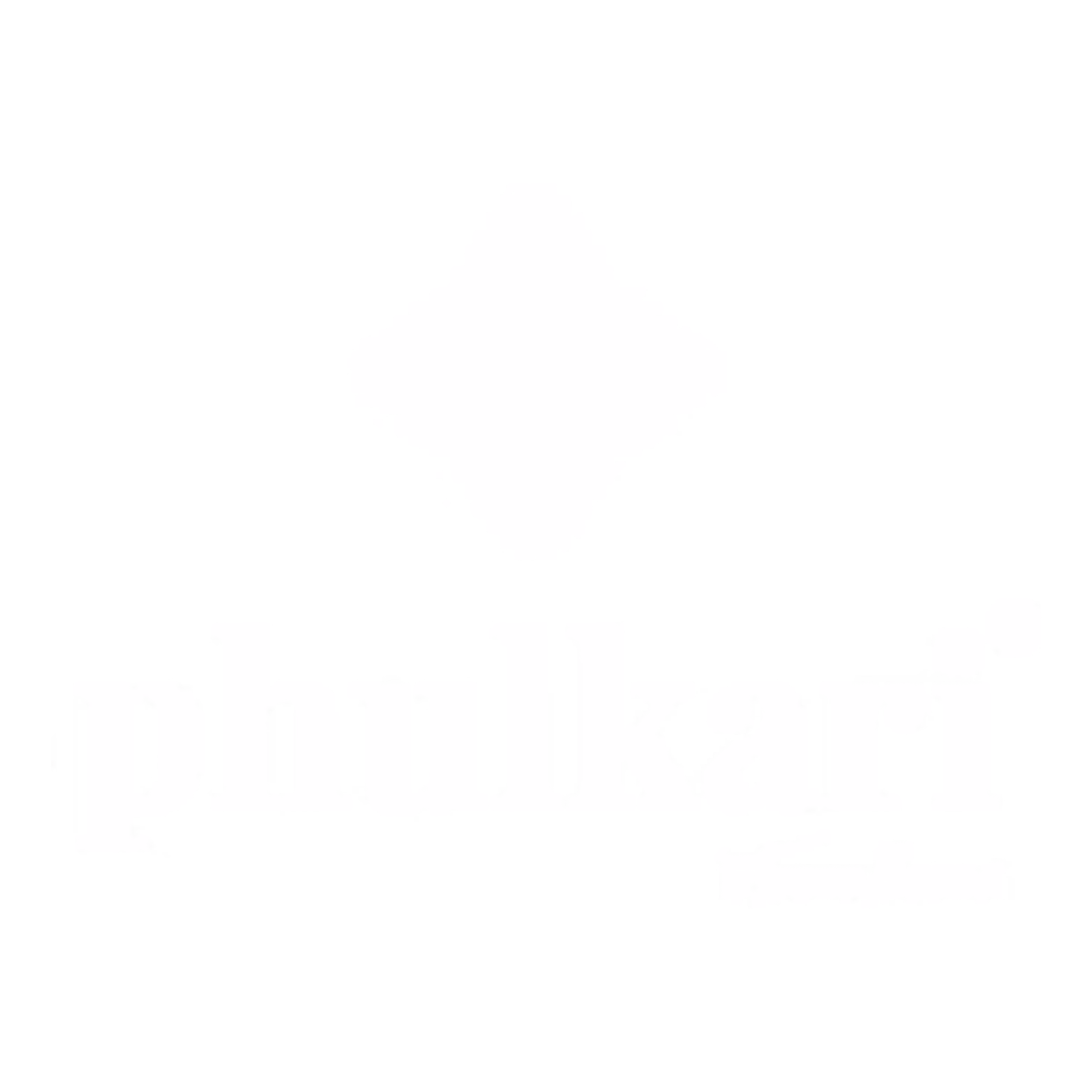 Phulkari client logo for Ads By Umar